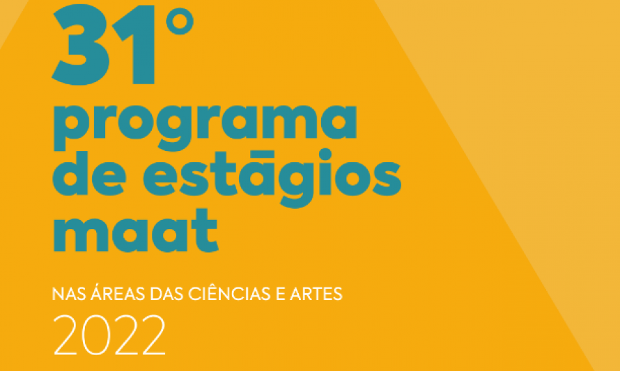 31º Programa de Estágios MAAT
