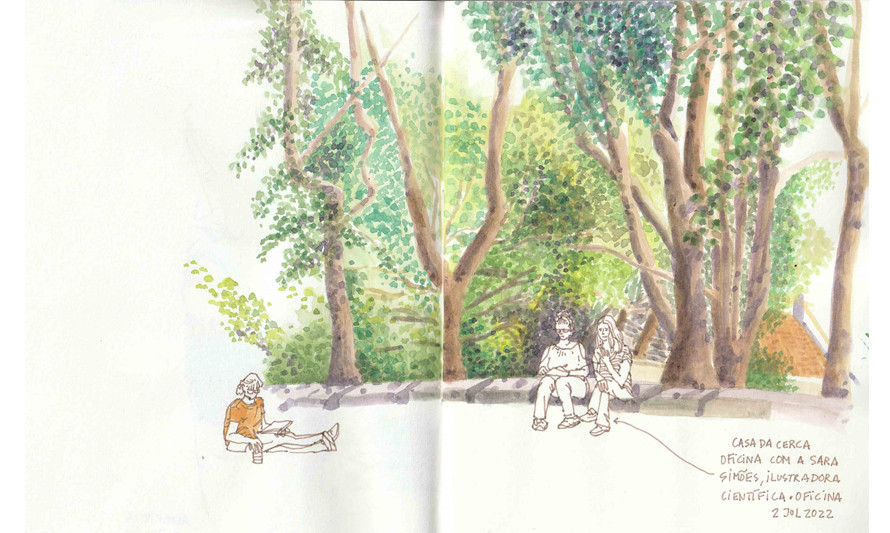 Desenho no Jardim