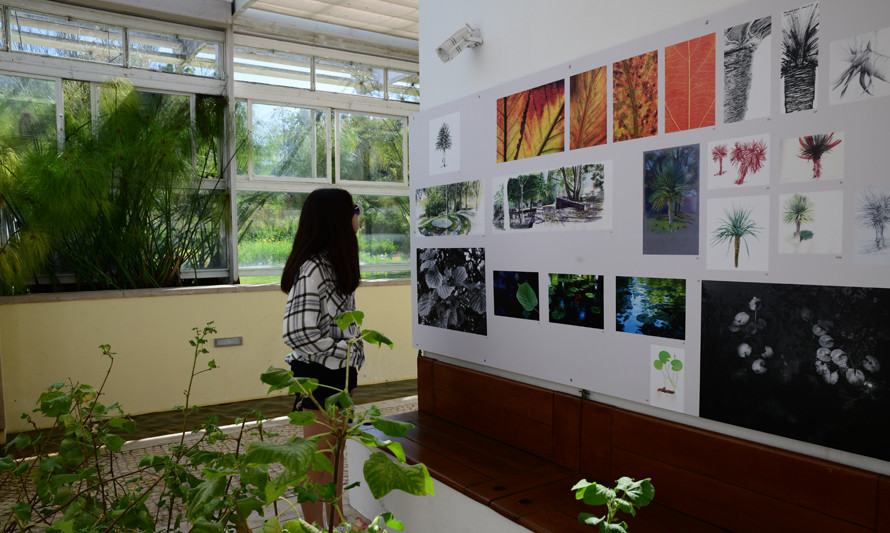 Desenho na Exposição_outubro