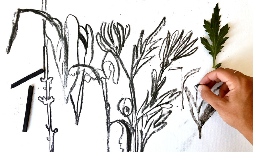 Desenho na Exposição