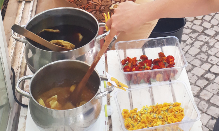 Experiências de tinturaria vegetal – Oficina para Famílias