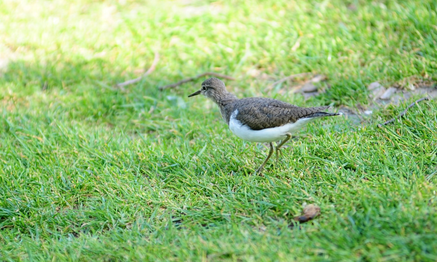 Almada, Ambiente, Natureza, Percursos, Visitas