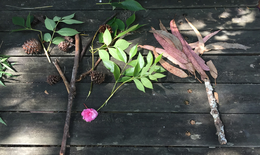 Árvores desenhada com folhas_foto de Margarida Mestre