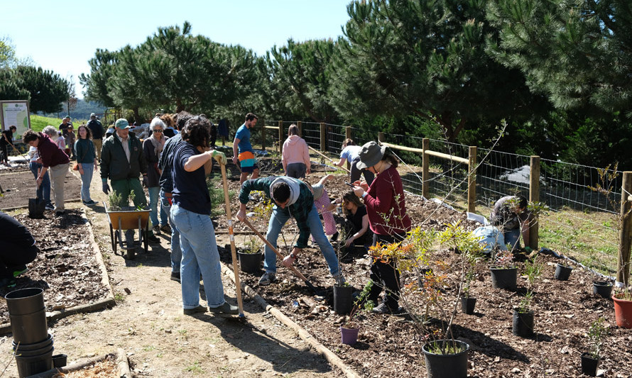 Plantação de microfloresta no Parque Urbano do Pragal