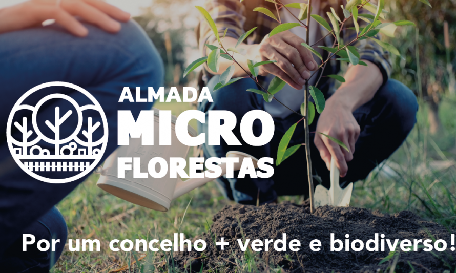 Microfloresta em Almada