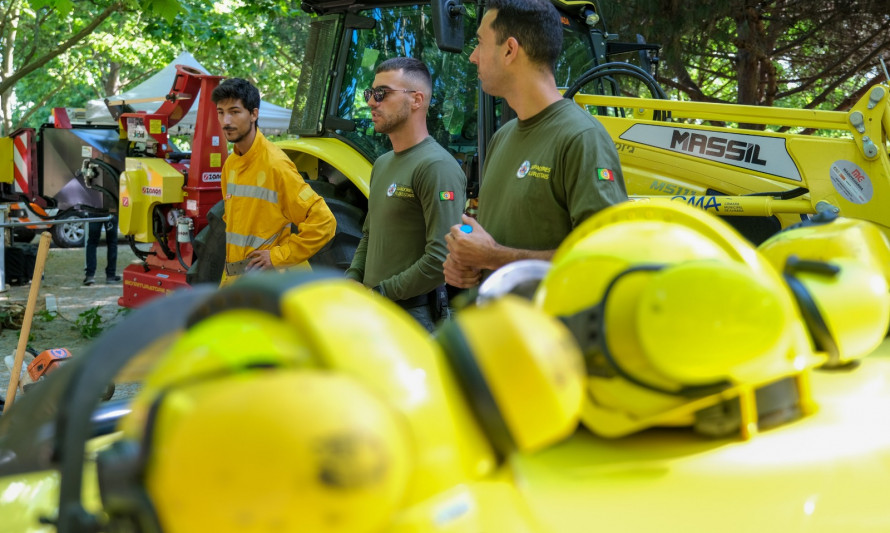 Almada, Proteção Civil, Floresta Segura, Floresta Verde