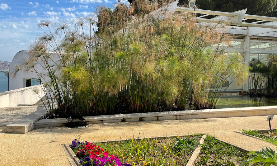 Visita Orientada a O CHÃO DAS ARTES – JARDIM BOTÂNICO