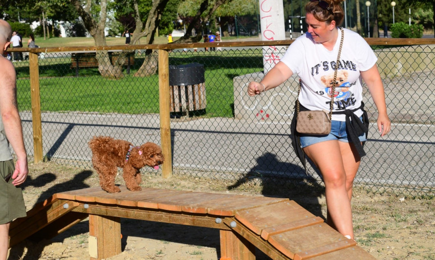 Almada, Animais, Parque Canino, Caparica, Orçamento Participativo