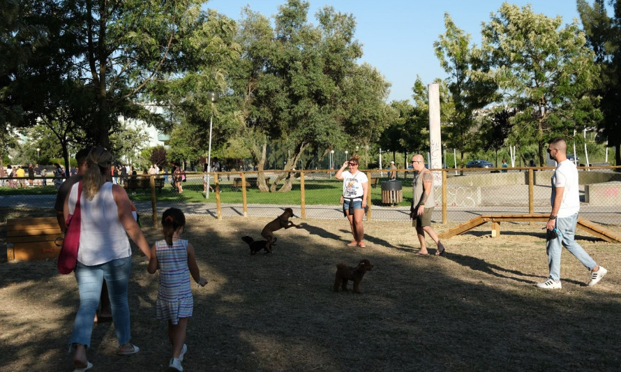 Almada, Animais, Parque Canino, Caparica, Orçamento Participativo