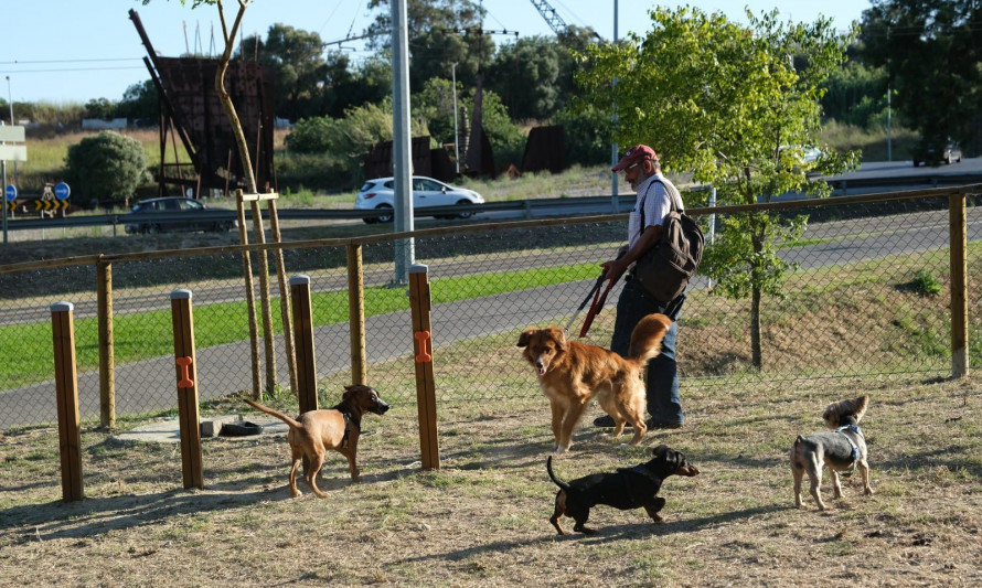 Almada, Animais, Parque Canino, Caparica, Orçamento Participativo