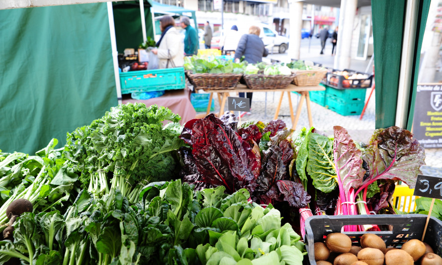 Almada, Parque da Paz, Green Market