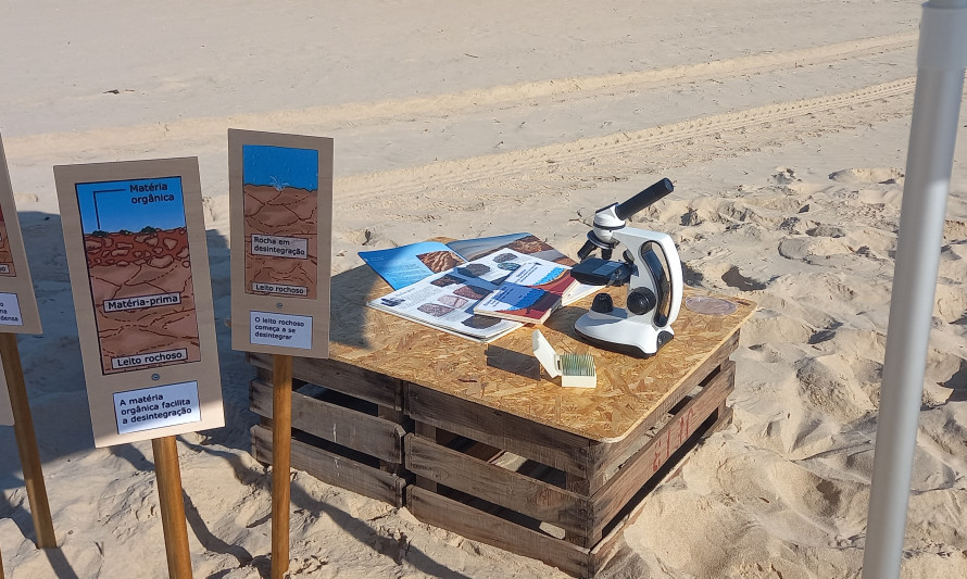 Costa da Caparica, Bandeira Azul, Formação das rochas