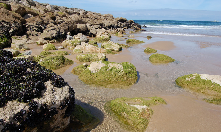 Almada, Costa da Caparica, Encontros