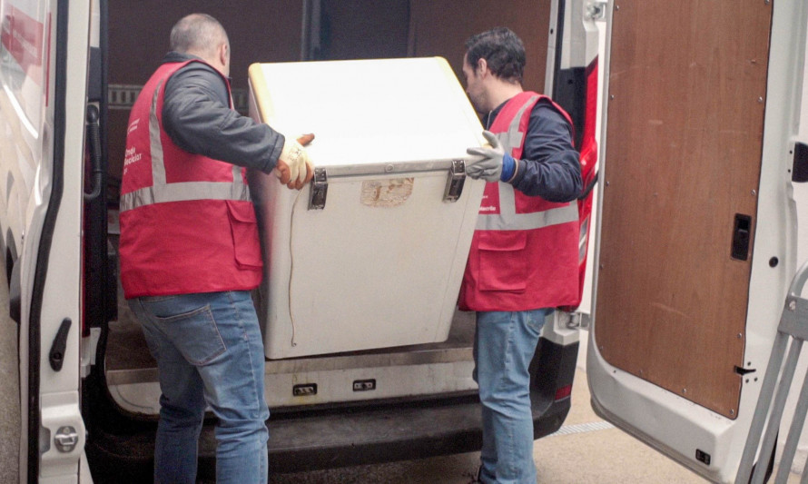 Almada, Electrão, Reciclagem, Recolha ao domicílio