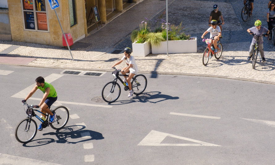 Padre E Hijo En Casco De Bicicleta Para Aprender A Andar En Bicicleta En El Parque Padre Ayudando Su Hijo Andar Bicicleta 265223 87156