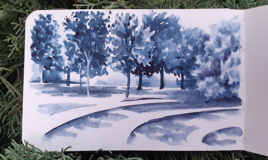 Desenho no jardim_novembro_desenho Sara Simões