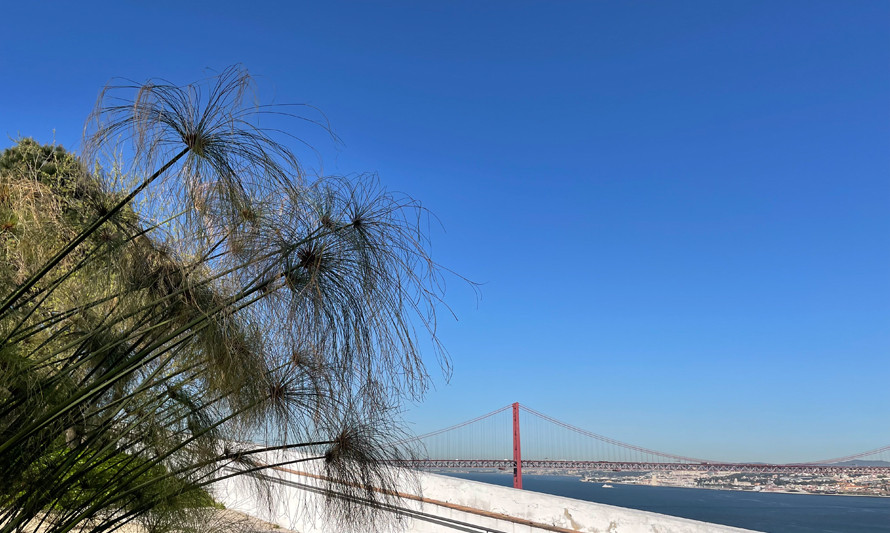 Visita Orientada a O CHÃO DAS ARTES – JARDIM BOTÂNICO