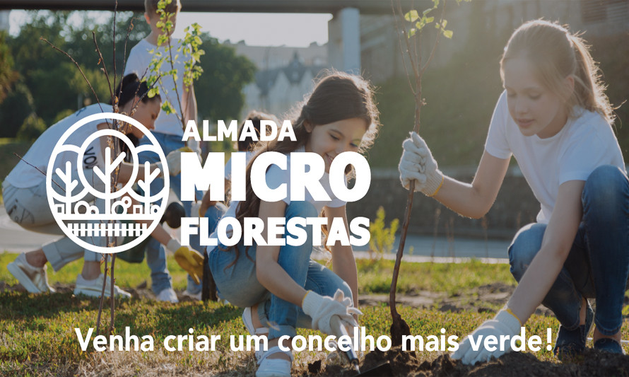 Microflorestas