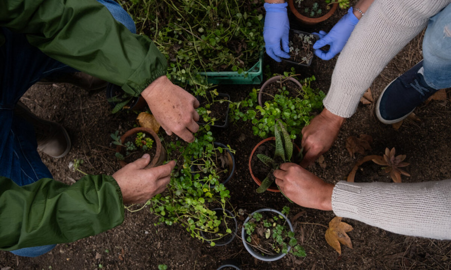 Workshop de Propagação de Plantas