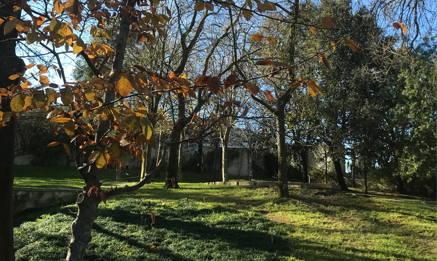 Visita Orientada a O CHÃO DAS ARTES – JARDIM BOTÂNICO