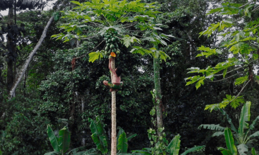 Águas do Pastaza, de Inês T. Alves 