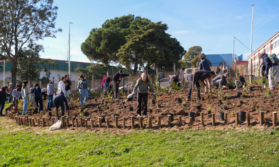 Almada, Ambiente, Microfloresta, Parque Urbano Comandante Júlio Ferraz, espaços verdes