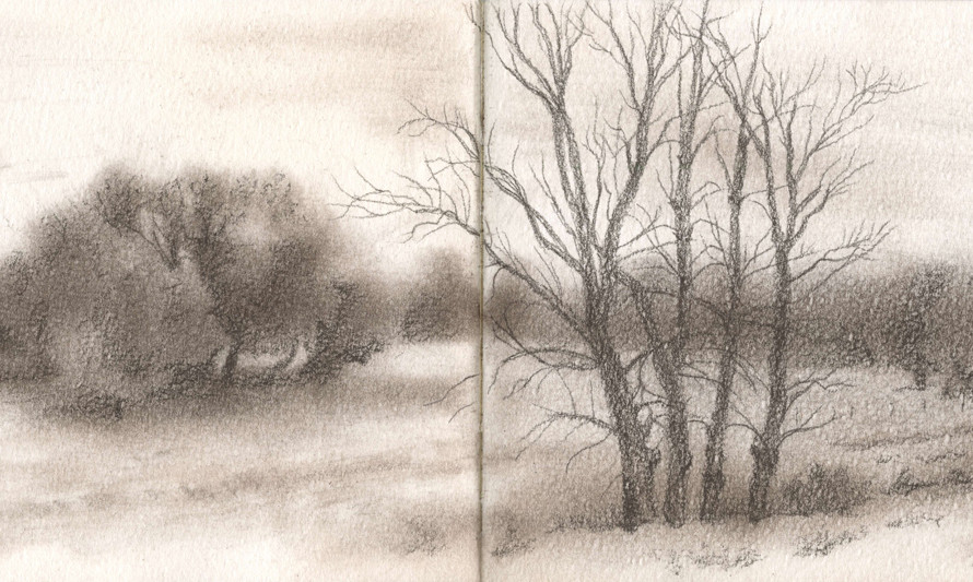 Desenho no Jardim (desenho de Sara Simões)