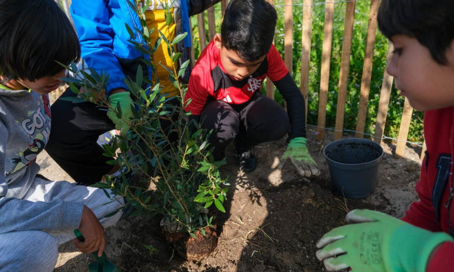 Ação de manutenção microfloresta Parque Urbano das Quintinhas