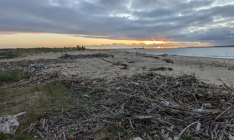 Limpeza Praia_2_2024