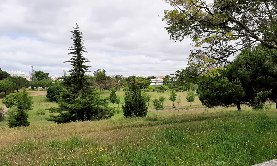 Parque Urbano das Quintinhas