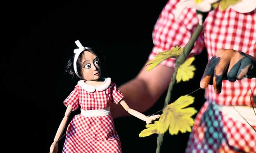 PICNIC_DIM_2024