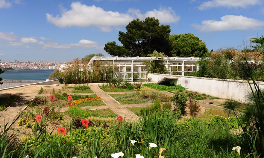 Jardim Botânico - Chão das Artes