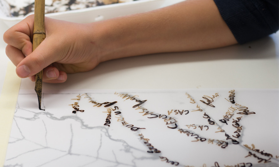 Residências artísticas de verão — Herbário Criativo XIII: PHYTO . GRAPHIAS n’O Chão das Artes