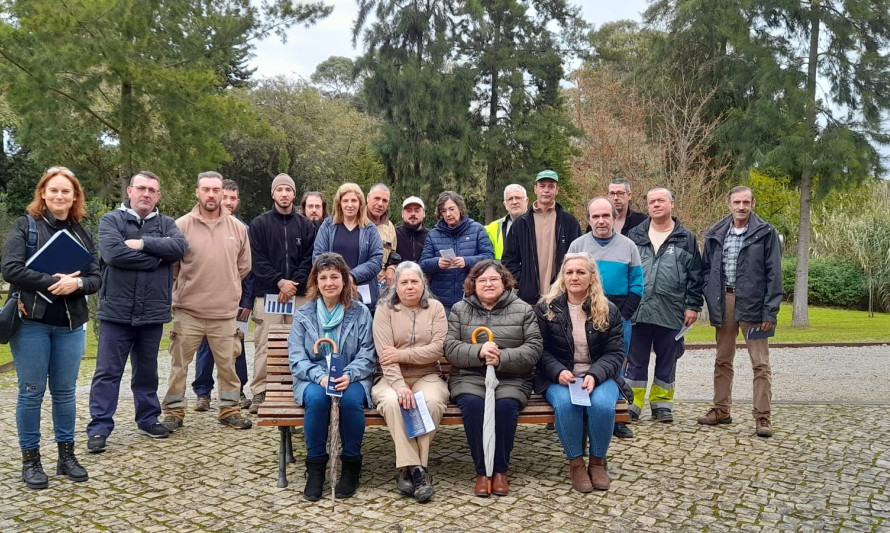 Almada, campanha, prevenção e combate, violência doméstica, CMA, ações de sensibilização