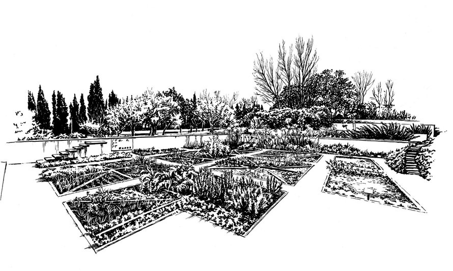 Jardim dos Pintores - desenho de Sara Simões