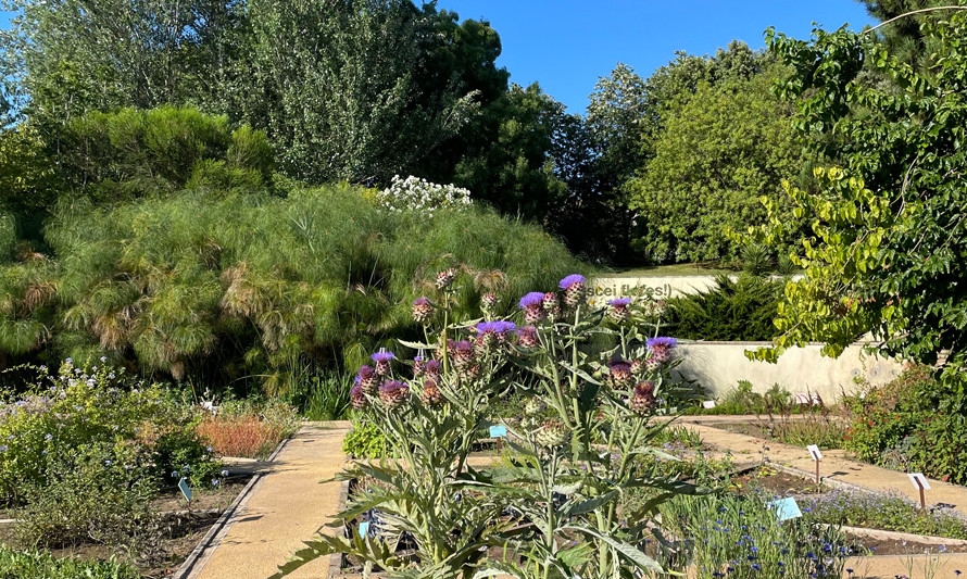 Jardim dos Pintores