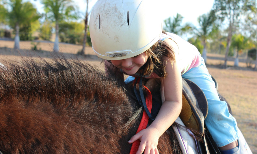 cavalo_solar
