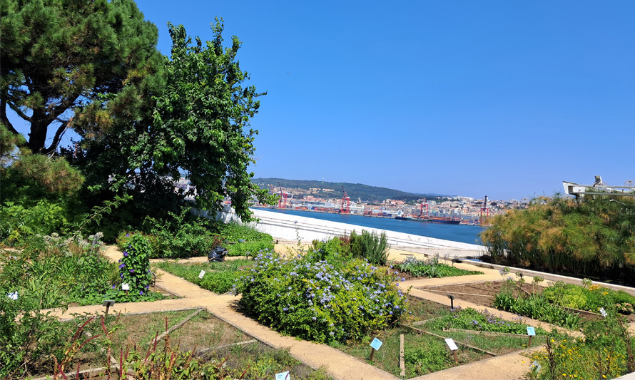 Visita Orientada a O CHÃO DAS ARTES – JARDIM BOTÂNICO