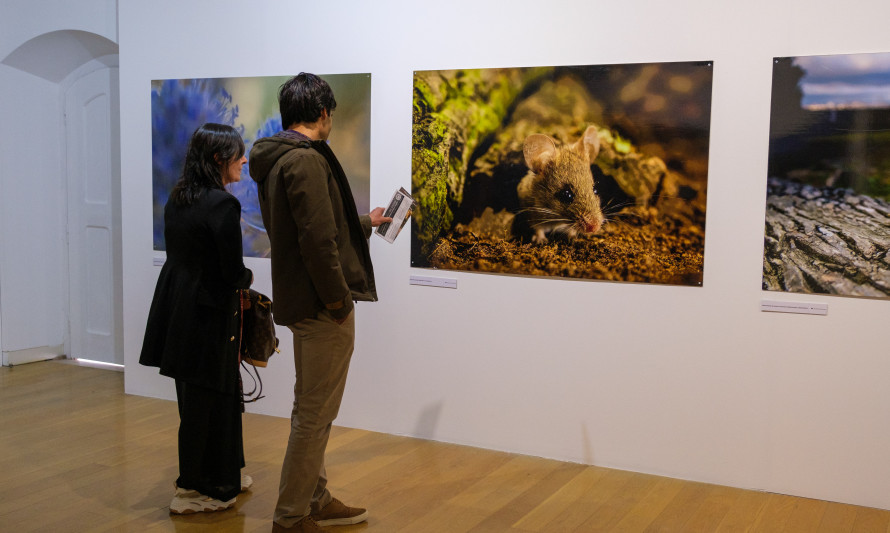 exposição