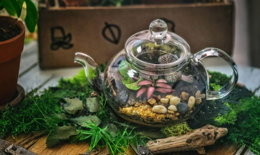 Terrários