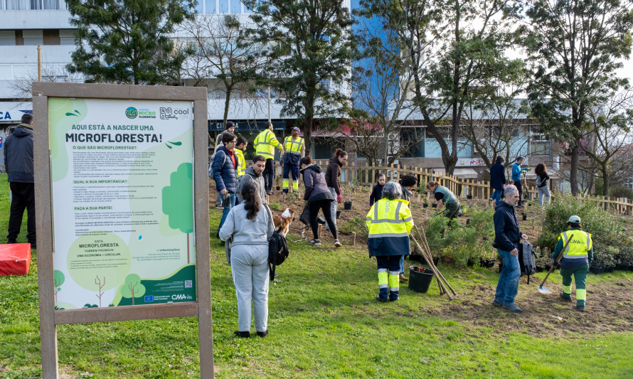 Microfloresta Parque Comandante Júlio Ferraz