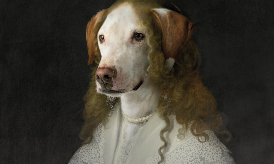 Cão em pose num quadro renascentista