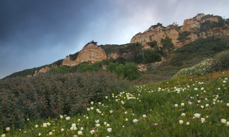 paisagem protegida