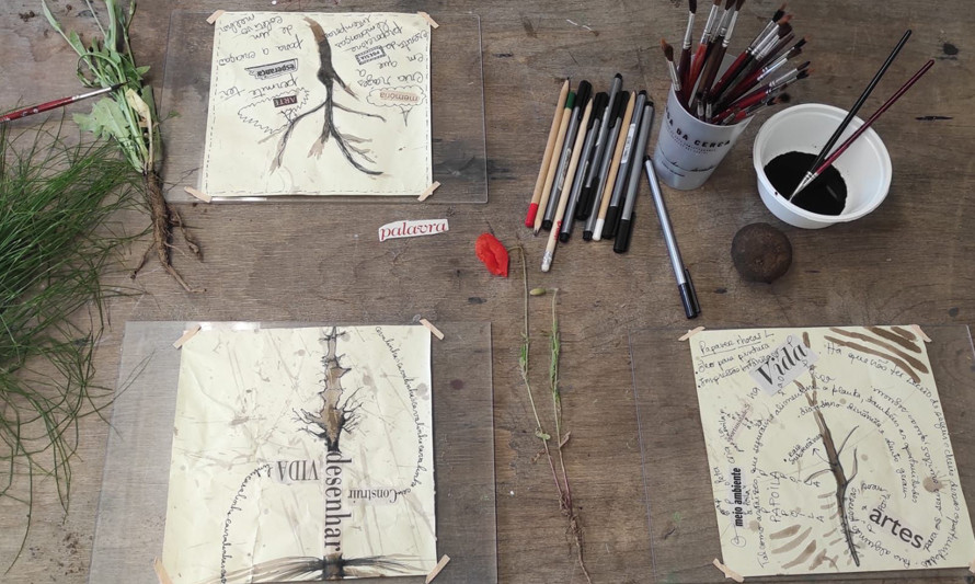 Desenhos de raízes de plantas