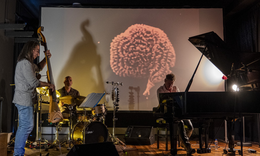 piananimal1