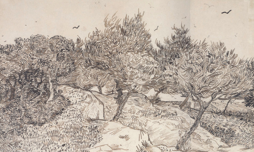 Árvores desenhadas a carvão por Van Gogh