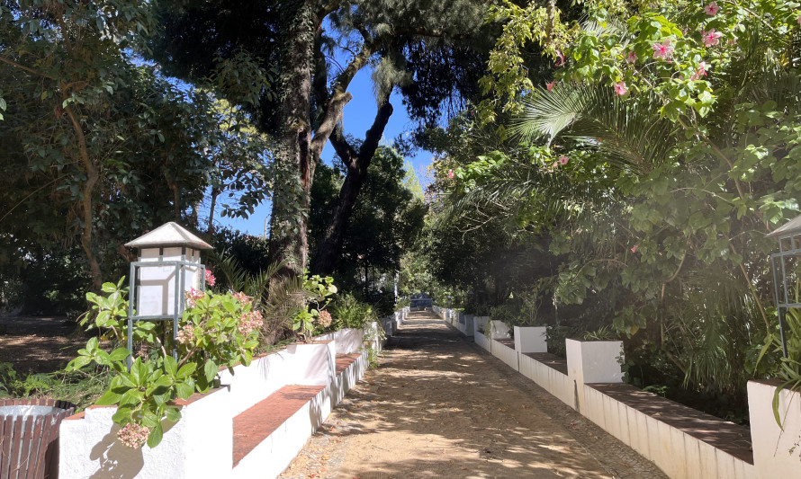 jardim-corredor