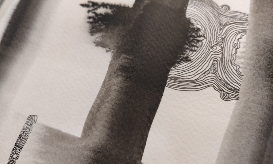 Desenho na Exposição