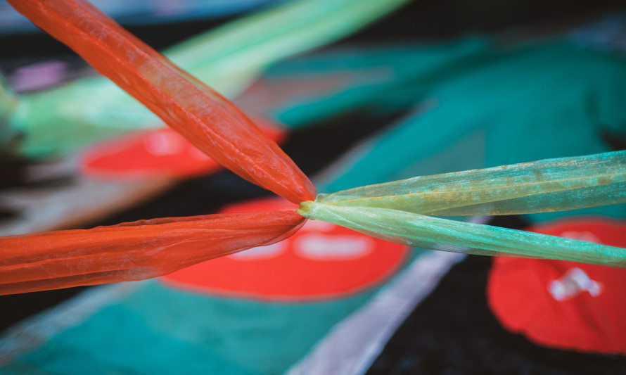 MICORRIZAS_CAPUCHOS_NOVEMBRO_2025