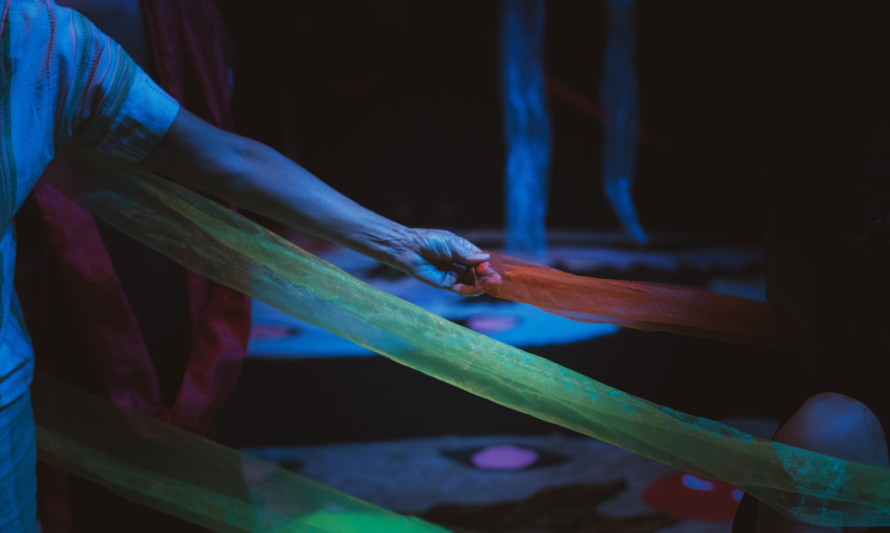 MICORRIZAS_CAPUCHOS_NOVE,BRO_2025